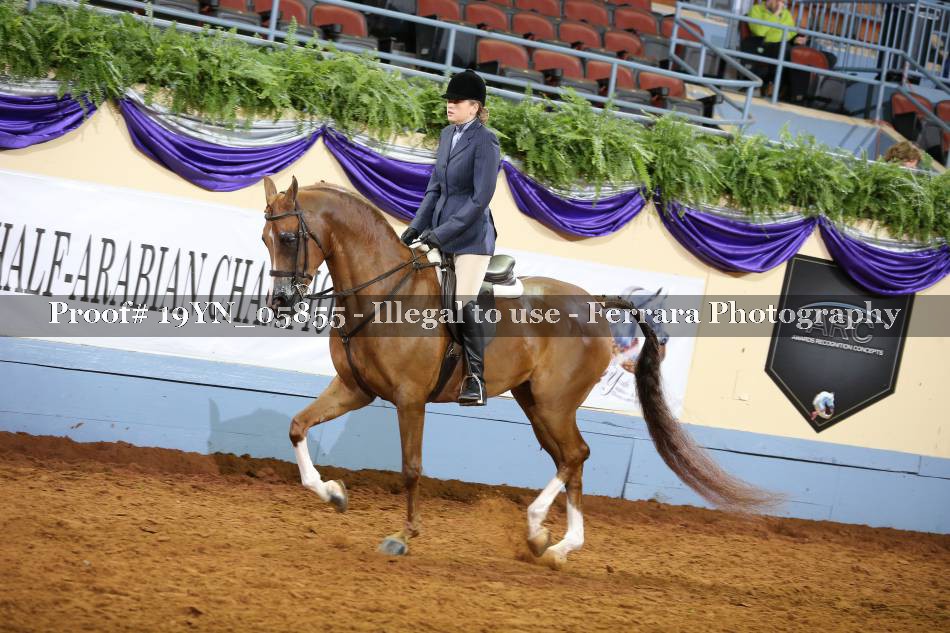 Proof 19YN_05855