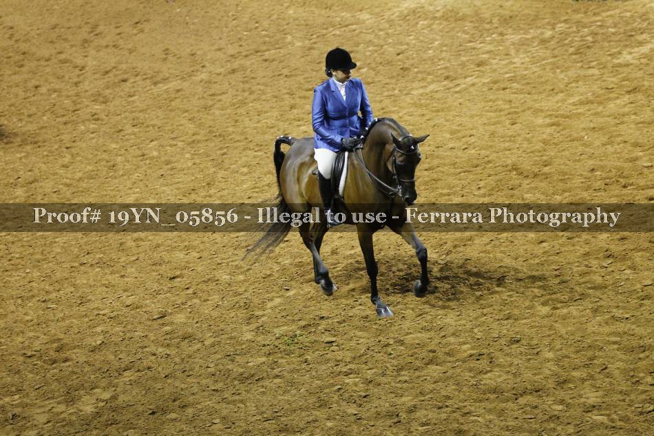 Proof 19YN_05856