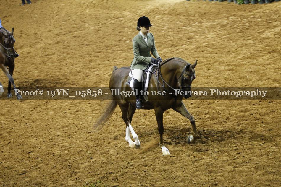 Proof 19YN_05858