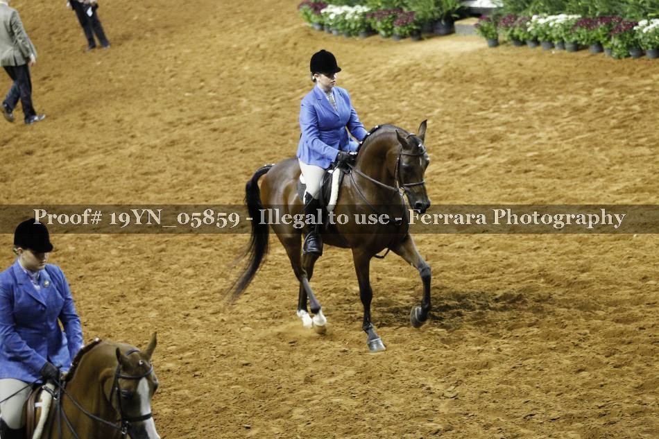 Proof 19YN_05859
