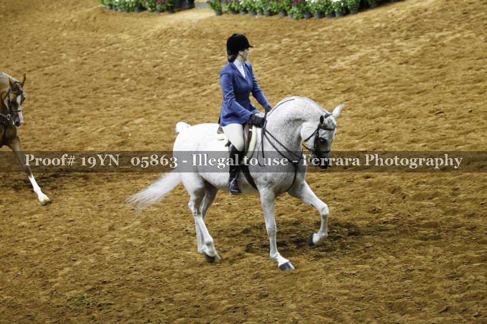 Proof 19YN_05863