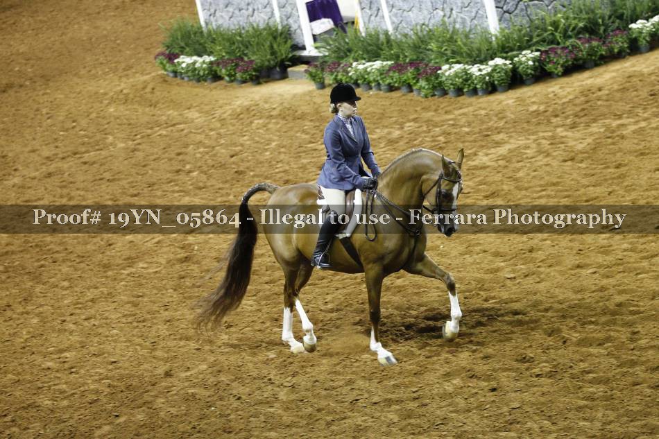 Proof 19YN_05864