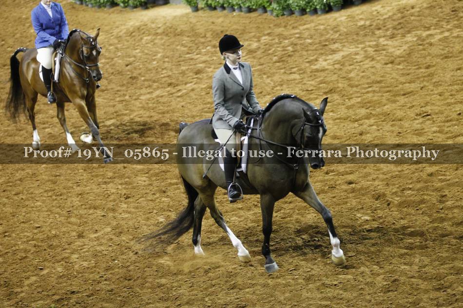Proof 19YN_05865