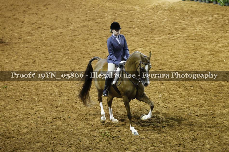 Proof 19YN_05866