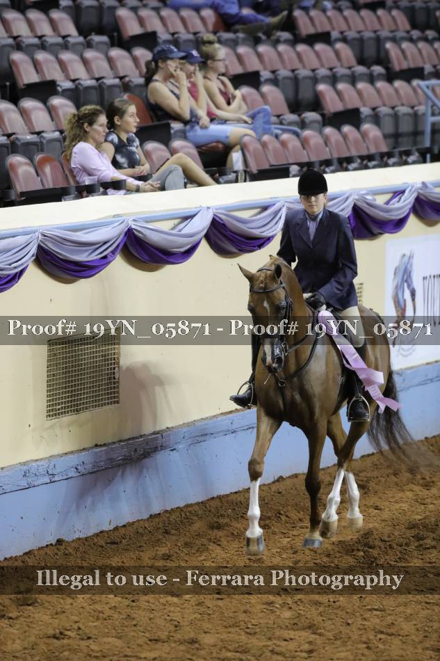 Proof 19YN_05871