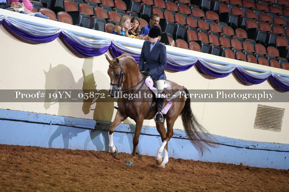Proof 19YN_05872