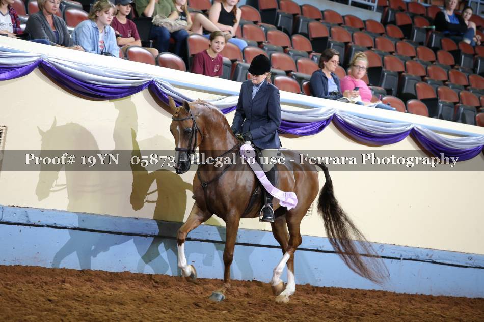 Proof 19YN_05873