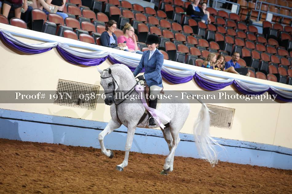 Proof 19YN_05876