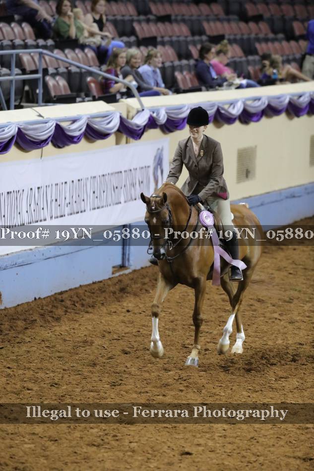 Proof 19YN_05880
