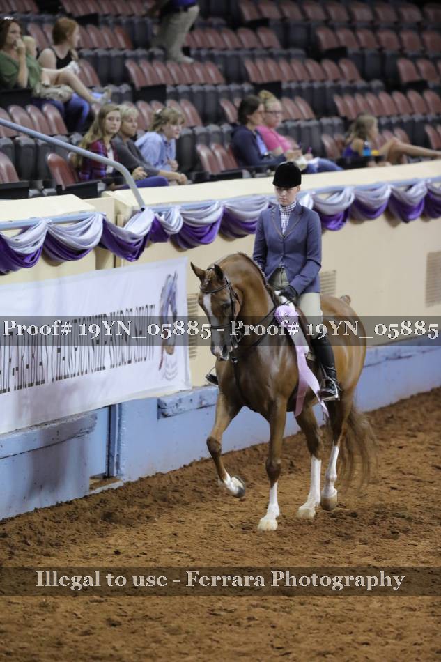 Proof 19YN_05885