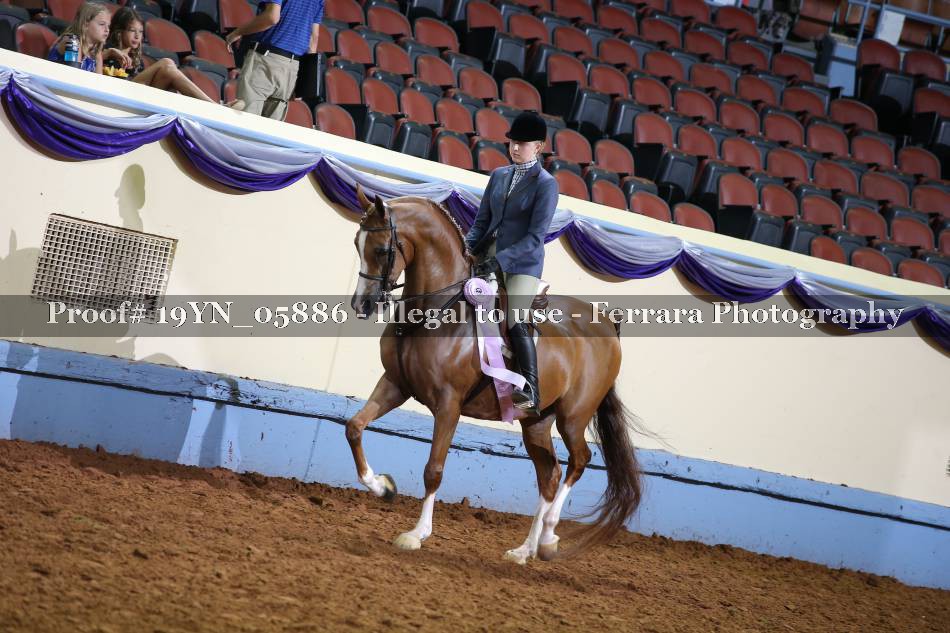 Proof 19YN_05886