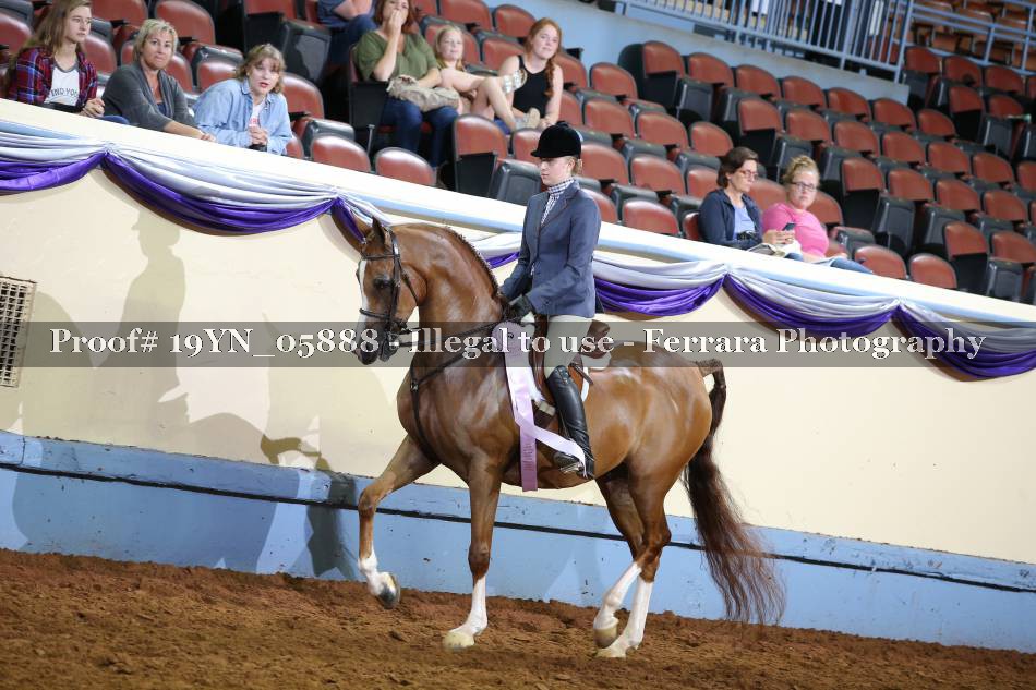 Proof 19YN_05888