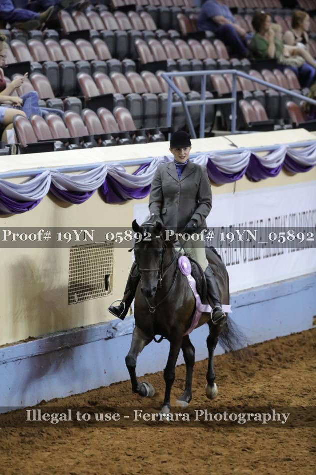 Proof 19YN_05892
