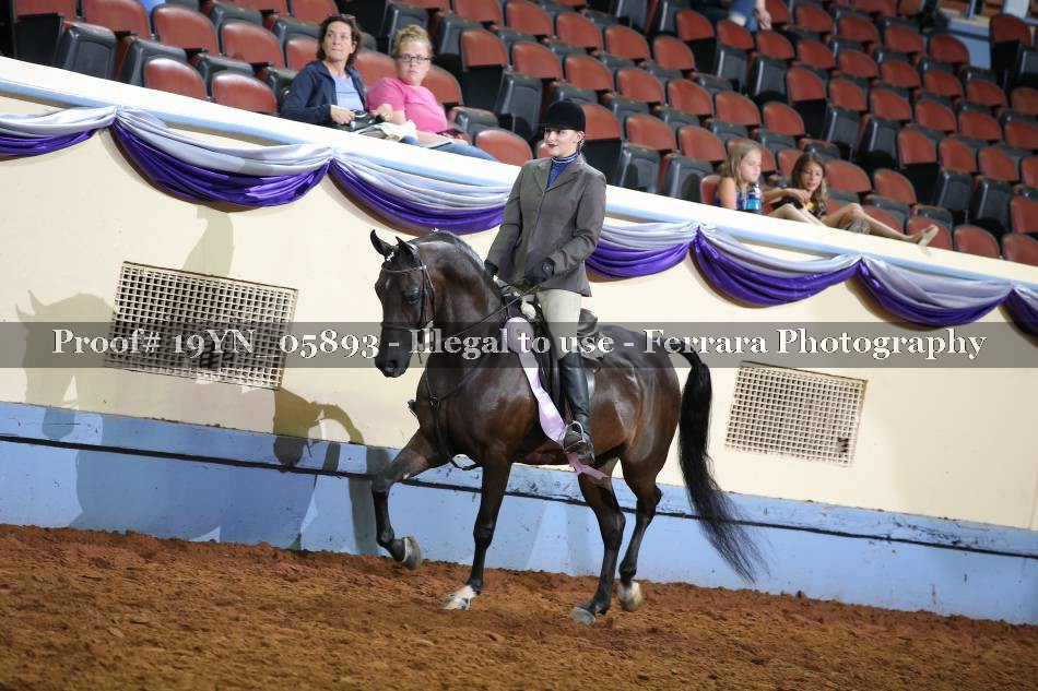 Proof 19YN_05893