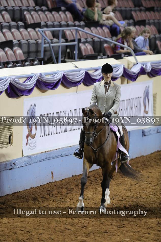 Proof 19YN_05897