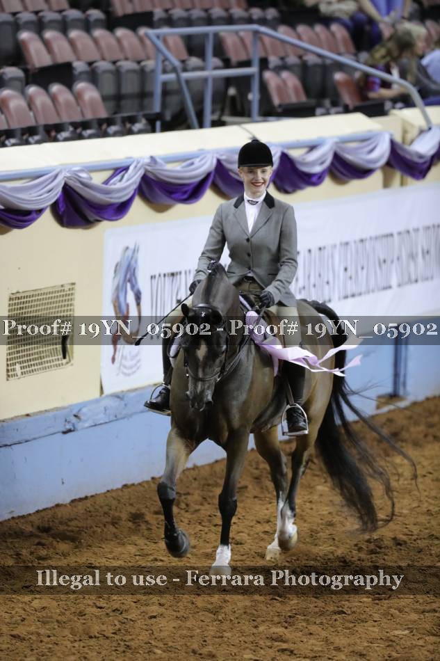 Proof 19YN_05902
