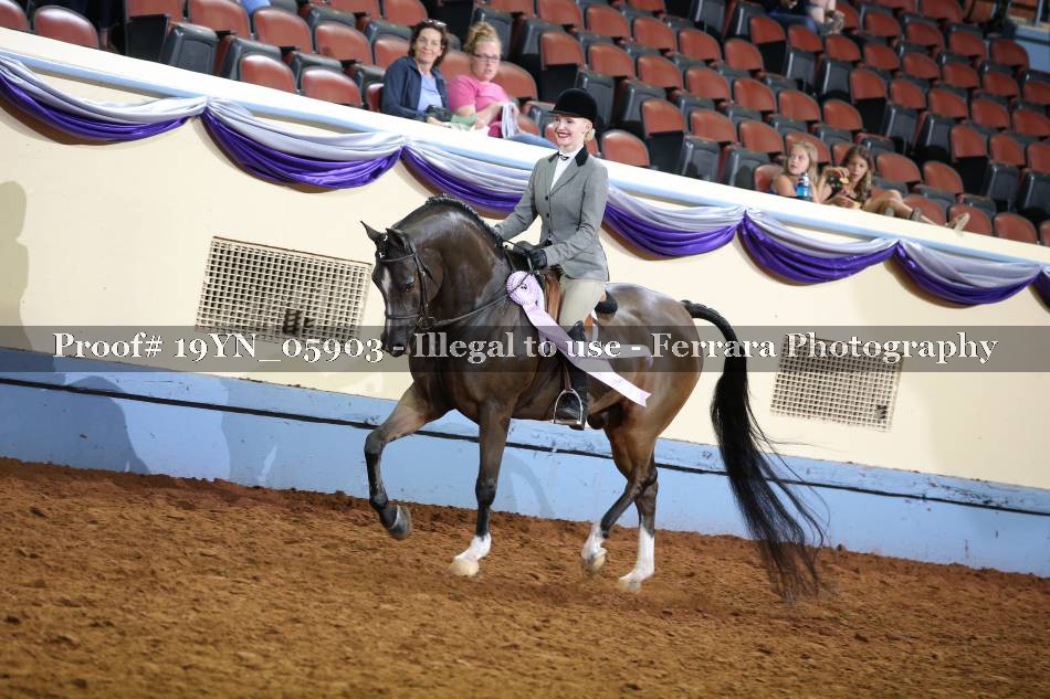 Proof 19YN_05903