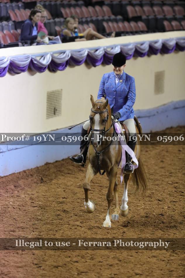 Proof 19YN_05906
