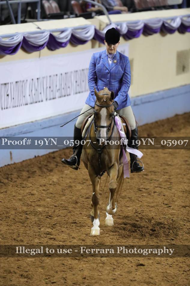 Proof 19YN_05907
