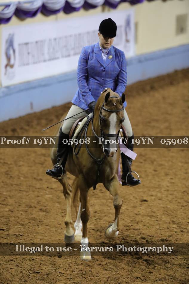 Proof 19YN_05908
