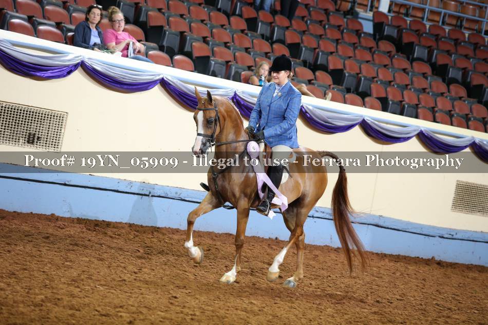 Proof 19YN_05909