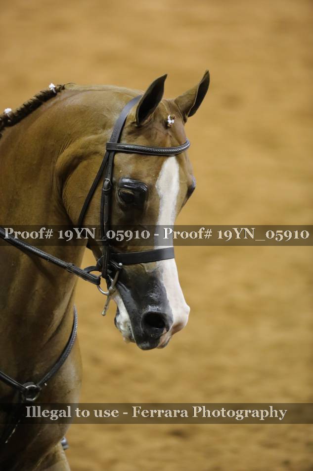 Proof 19YN_05910