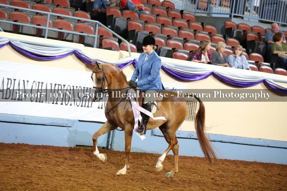 Proof 19YN_05911
