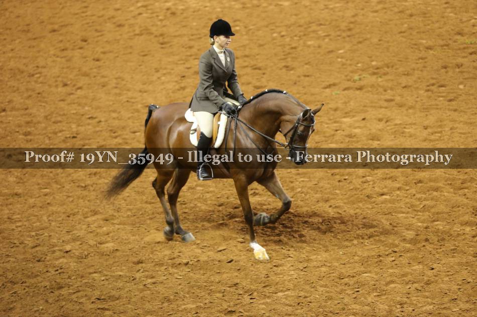 Proof 19YN_35949