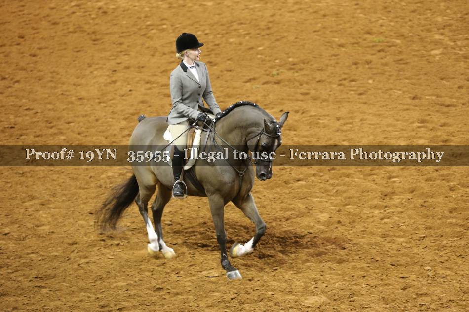 Proof 19YN_35955