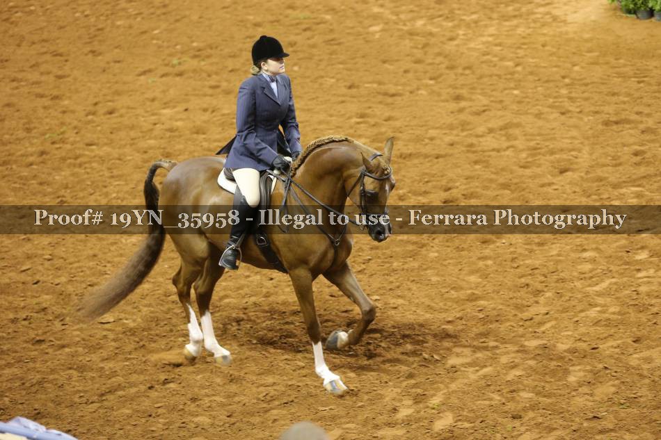 Proof 19YN_35958