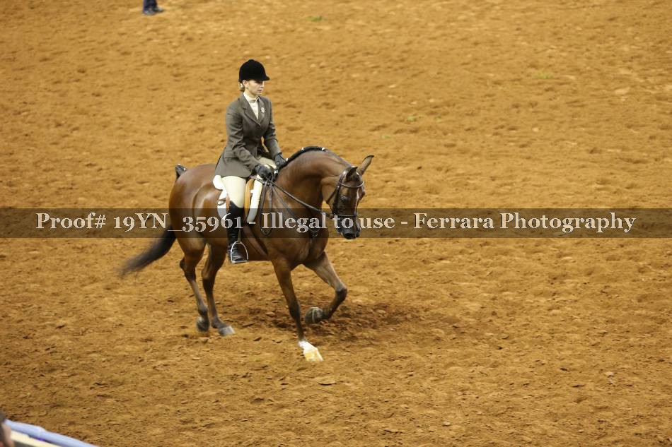 Proof 19YN_35961