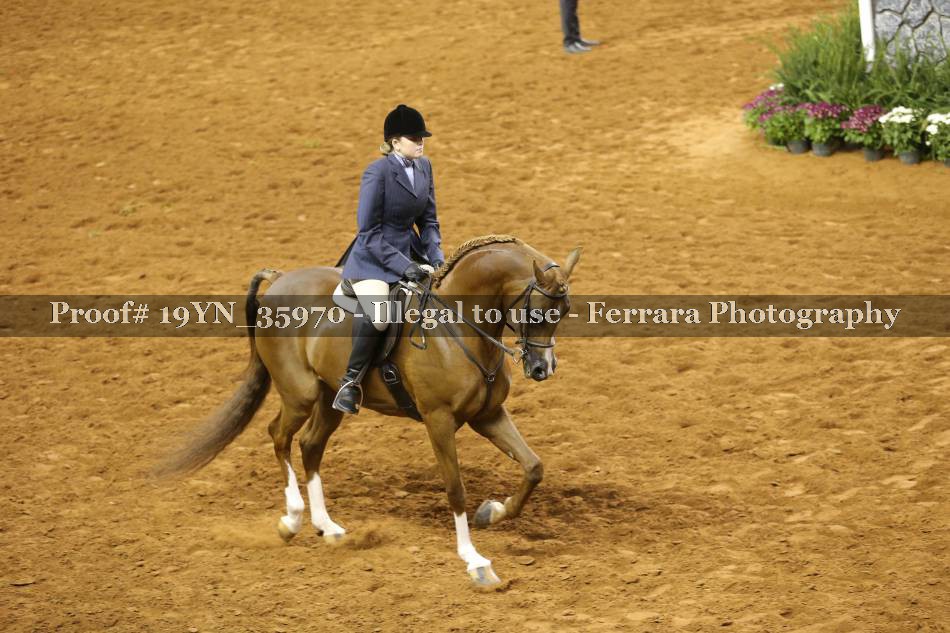 Proof 19YN_35970