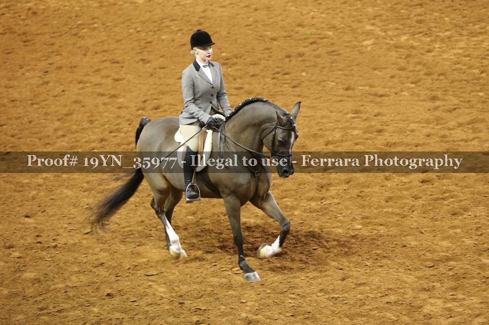 Proof 19YN_35977