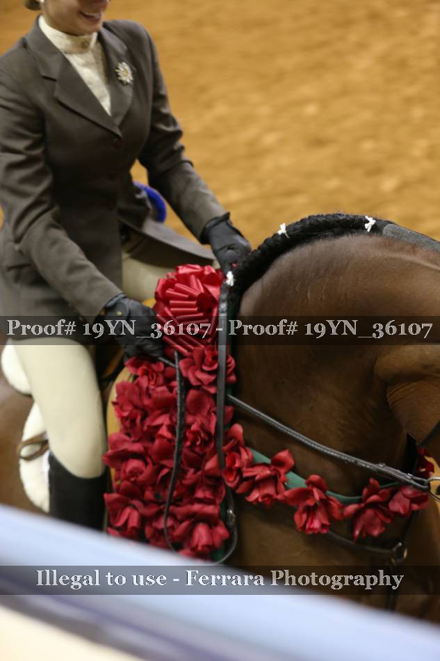 Proof 19YN_36107