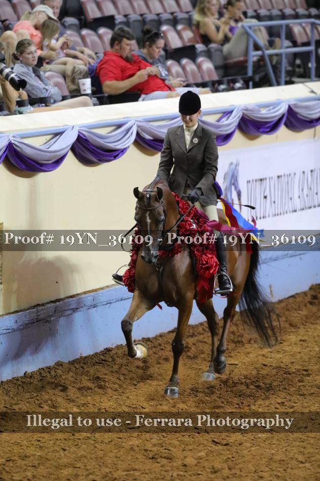 Proof 19YN_36109