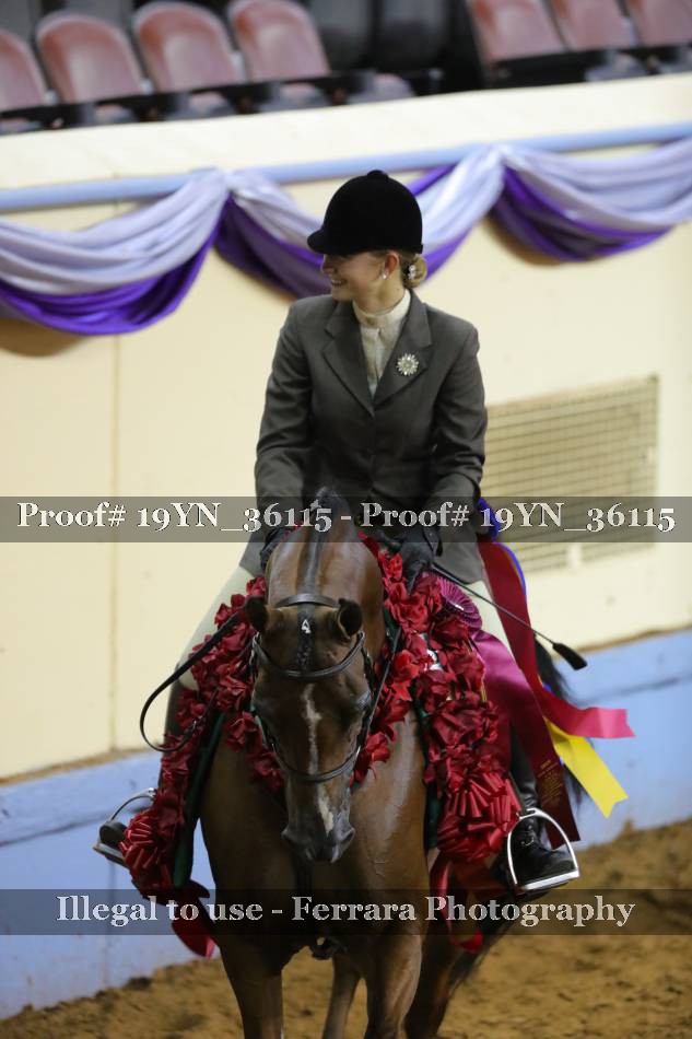 Proof 19YN_36115