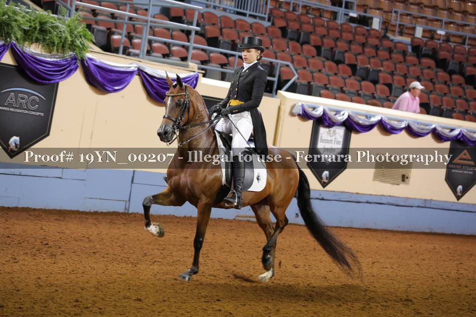 Proof 19YN_00207