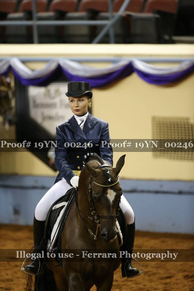 Proof 19YN_00246