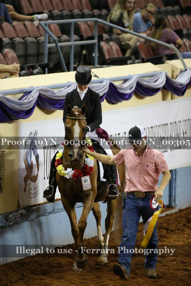 Proof 19YN_00305