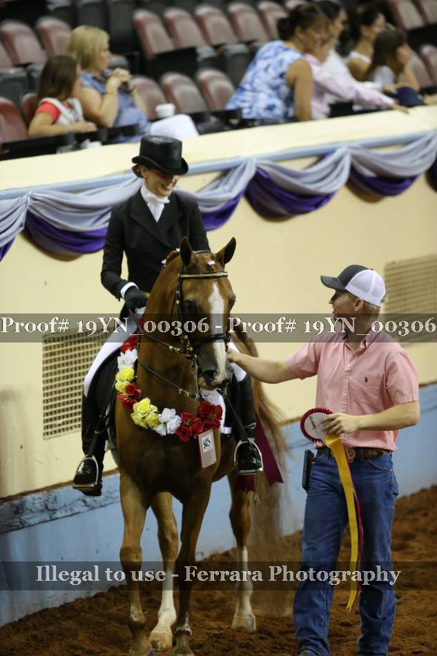 Proof 19YN_00306