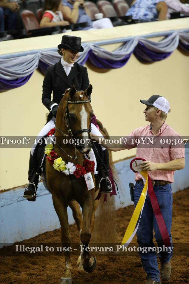 Proof 19YN_00307