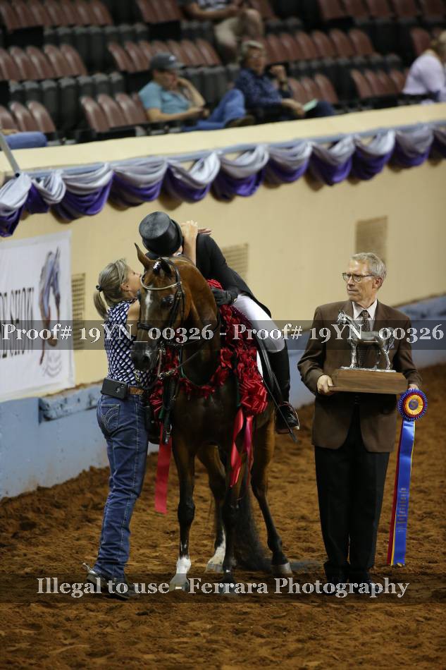 Proof 19YN_00326