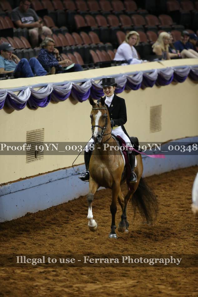 Proof 19YN_00348