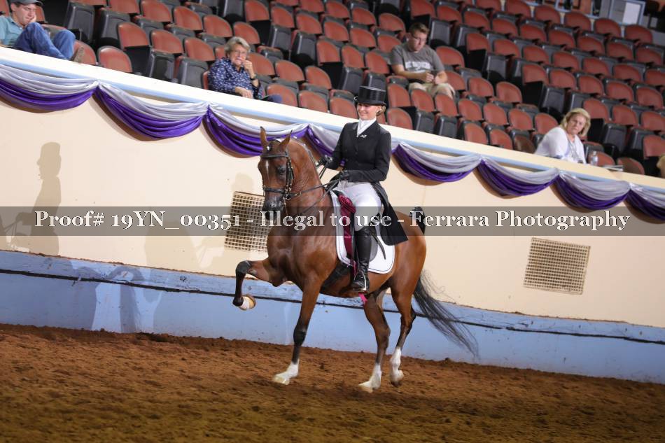 Proof 19YN_00351