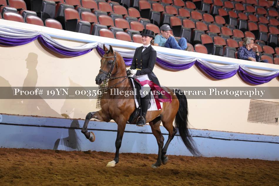 Proof 19YN_00356