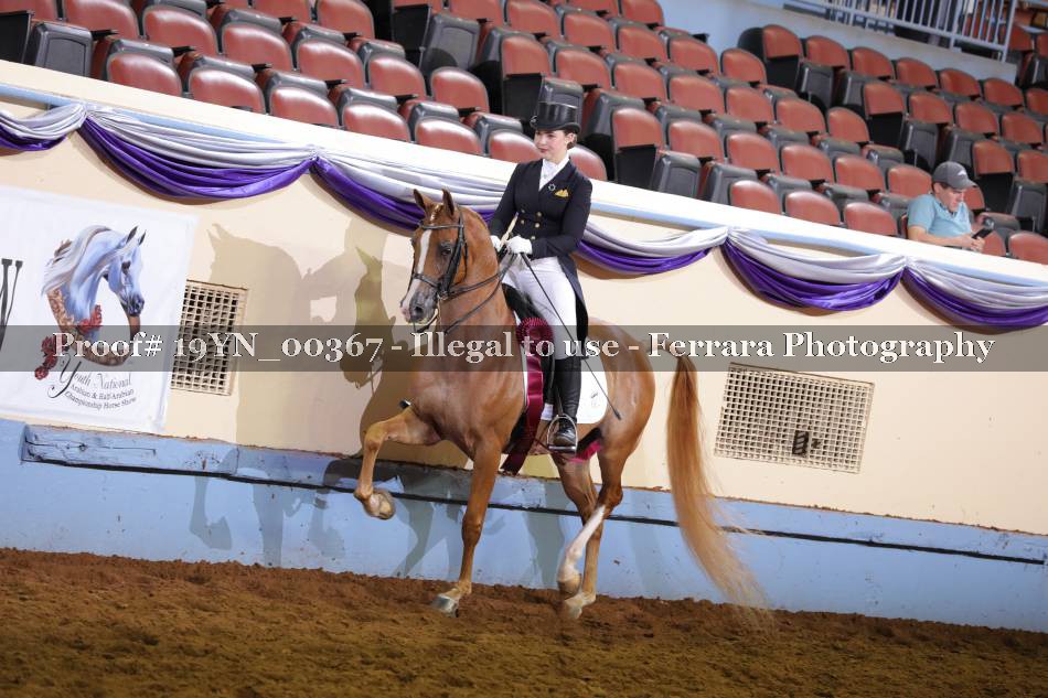 Proof 19YN_00367