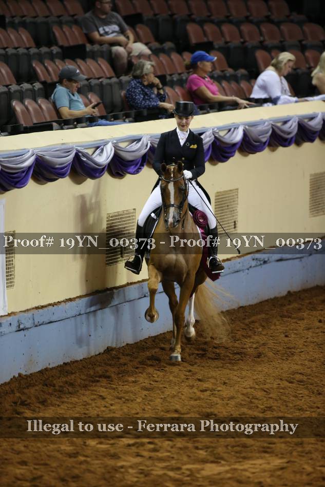Proof 19YN_00373