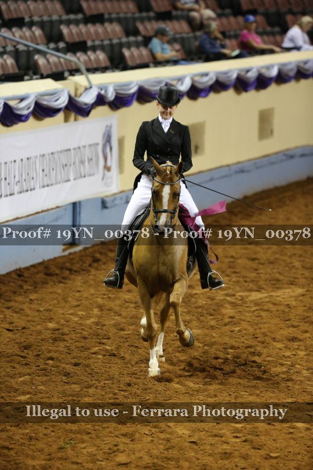 Proof 19YN_00378