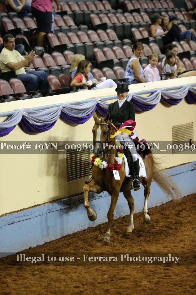 Proof 19YN_00389