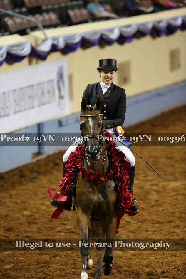 Proof 19YN_00396